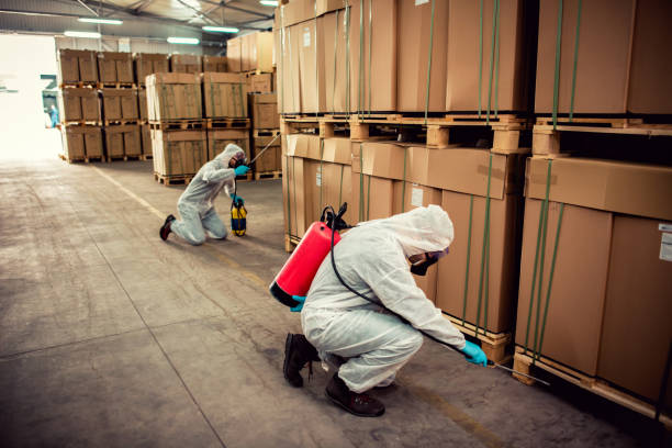 Professional Pest Control in Freer, TX