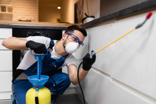 Best Flea Control Services  in Freer, TX
