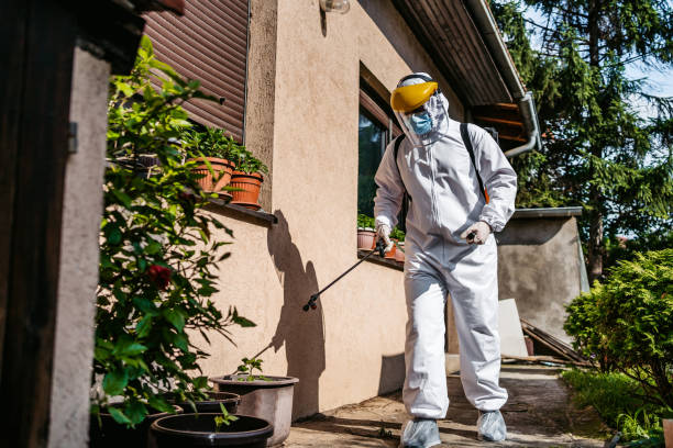 Best Pest Prevention Services  in Freer, TX