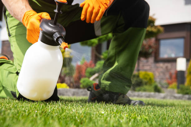 Best Flea Control Services  in Freer, TX