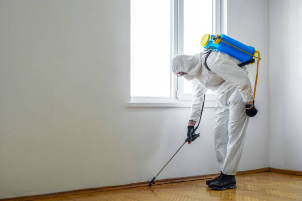 Reliable Freer, TX Pest Control Solutions