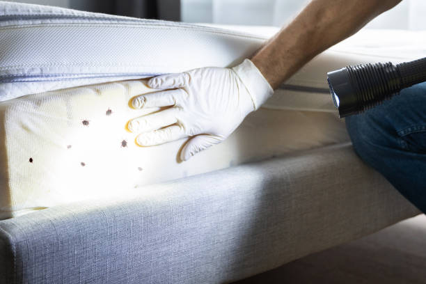 Best Best Pest Control Near Me  in Freer, TX