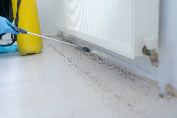 Best Affordable Pest Control Services  in Freer, TX