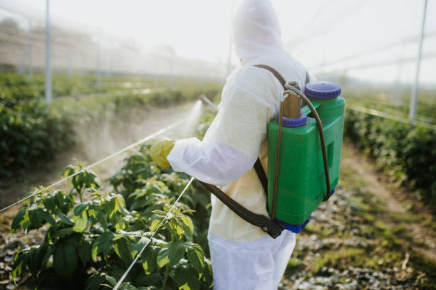 Best Cockroach Control Services  in Freer, TX